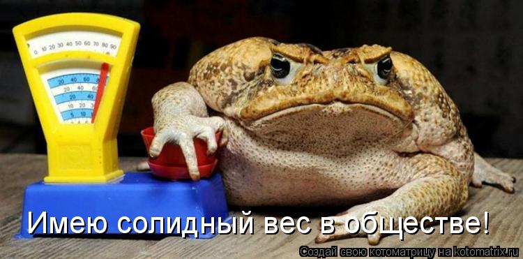 Котоматрица: Имею солидный вес в обществе!