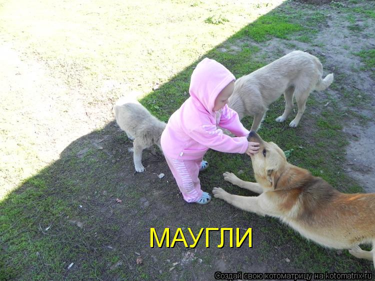 МАУГЛИ... Котоматрица: МАУГЛИ