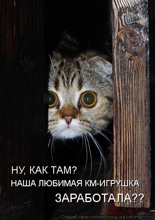 Котоматрица: НУ, КАК ТАМ?  НАША ЛЮБИМАЯ КМ-ИГРУШКА ЗАРАБОТАЛА??