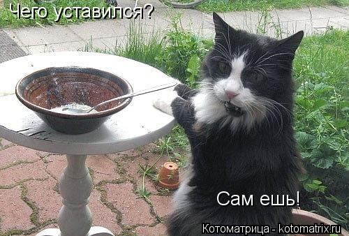 Котоматрица: Чего уставился? Сам ешь!