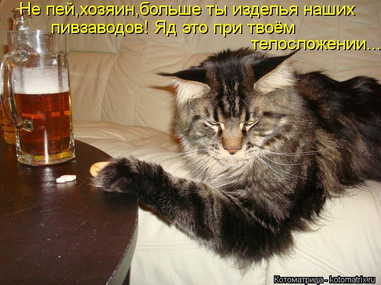 Котоматрица: Не пей,хозяин,больше ты изделья наших пивзаводов! Яд это при твоём  телосложении...