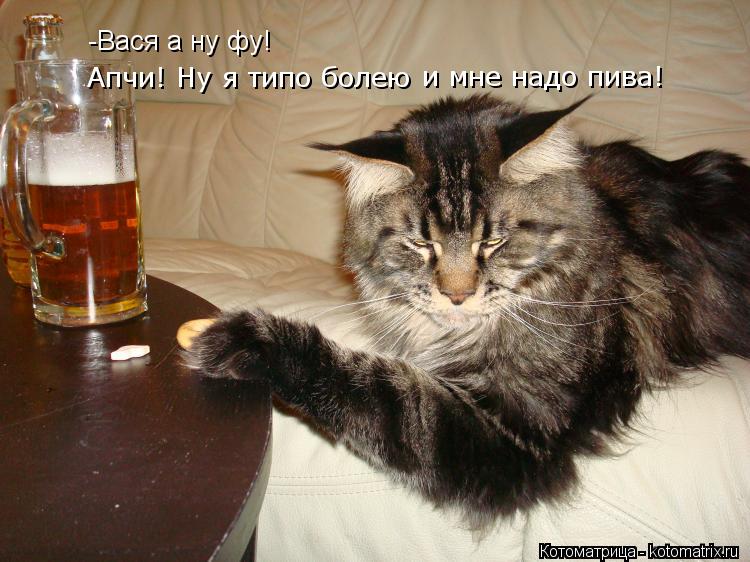 Котоматрица: -Вася а ну фу! Апчи! Ну я типо болею и мне надо пива!