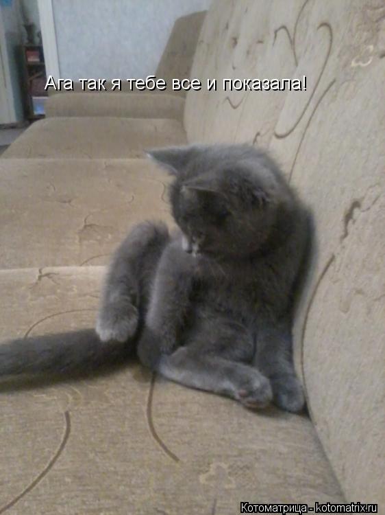 Ага так я тебе все и показала!... Котоматрица: Ага так я тебе все и показала!