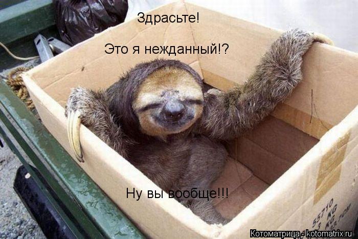 Здрасьте! Это я нежданный!? Ну вы вообще!!!... Котоматрица: Здрасьте! Это я нежданный!? Ну вы вообще!!!