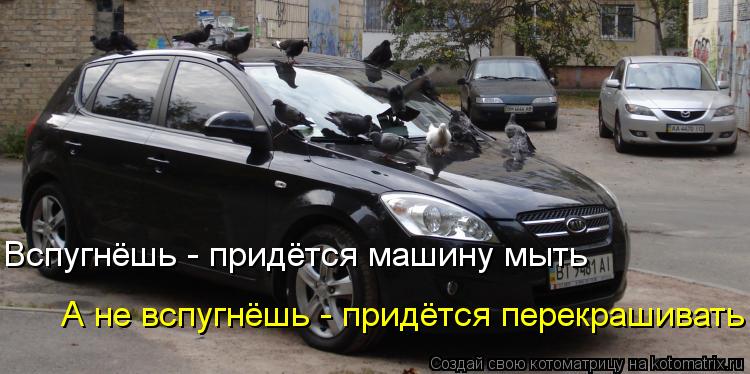 Котоматрица: Вспугнёшь - придётся машину мыть  А не вспугнёшь - придётся перекрашивать