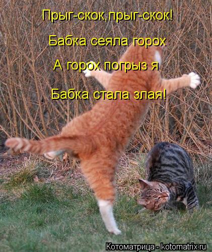 Прыг-скок,прыг-скок! Бабка сеяла горох А горох погрыз я Бабка стала злая!... Котоматрица: Прыг-скок,прыг-скок! Бабка сеяла горох А горох погрыз я Бабка стала злая!