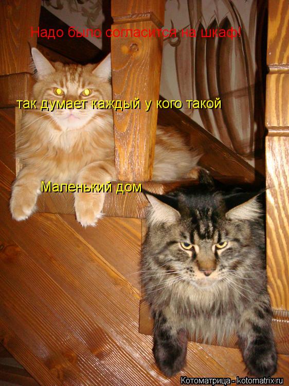 Котоматрица: Надо было согласится на шкаф! так думает каждый у кого такой Маленький дом