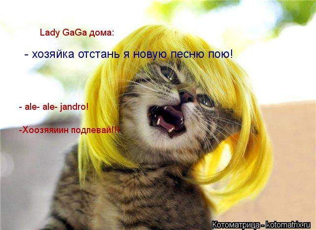 Котоматрица: - хозяйка отстань я новую песню пою!  Lady GaGa дома: - ale- ale- jandro! -Хоозяяиин подпевай!!!