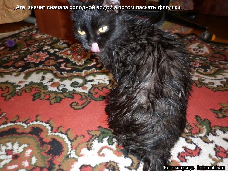 Котоматрица: — Ага, значит сначала холодной водой,а потом ласкать,фигушки..