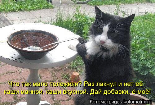 Котоматрица: Что так мало положили? Раз лакнул и нет её каши манной, каши вкусной. Дай добавки, ё-моё!