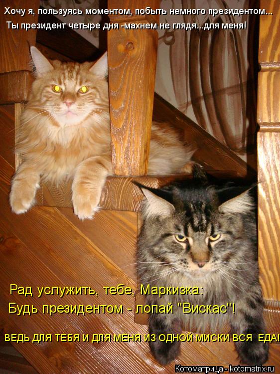 Котоматрица: Хочу я, пользуясь моментом, побыть немного президентом... Ты президент четыре дня -махнем не глядя...для меня! Рад услужить, тебе, Маркизка: Бу