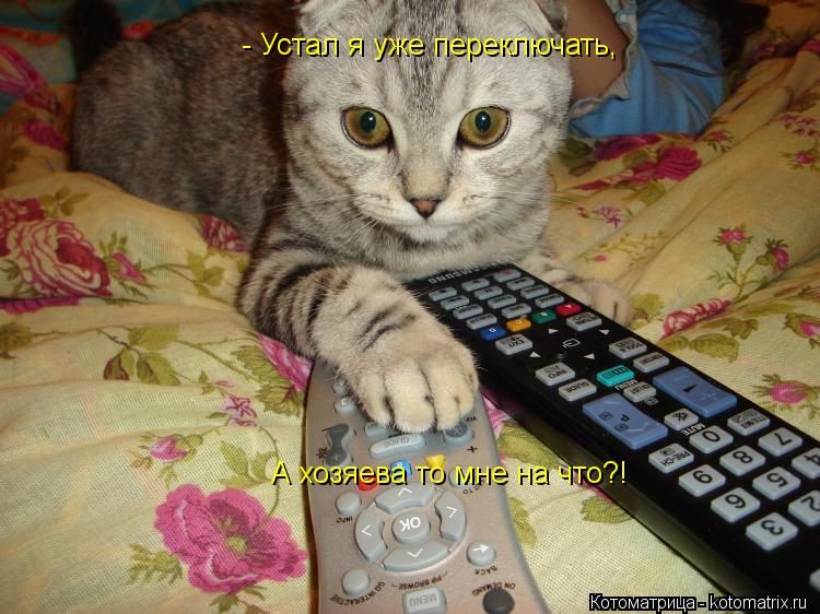 Котоматрица: - Устал я уже переключать, А хозяева то мне на что?!