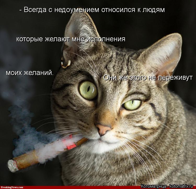 Котоматрица: - Всегда с недоумением относился к людям которые желают мне исполнения моих желаний.  Они же этого не переживут