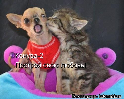 Котоматрица: Конура-2 Построй свою любовь!