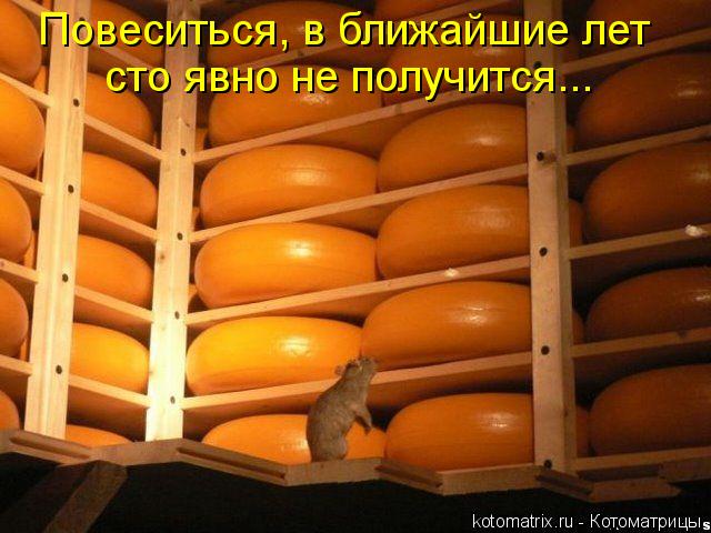 Котоматрица: Повеситься, в ближайшие лет сто явно не получится...