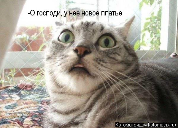 -О господи, у нее новое платье... Котоматрица: -О господи, у нее новое платье