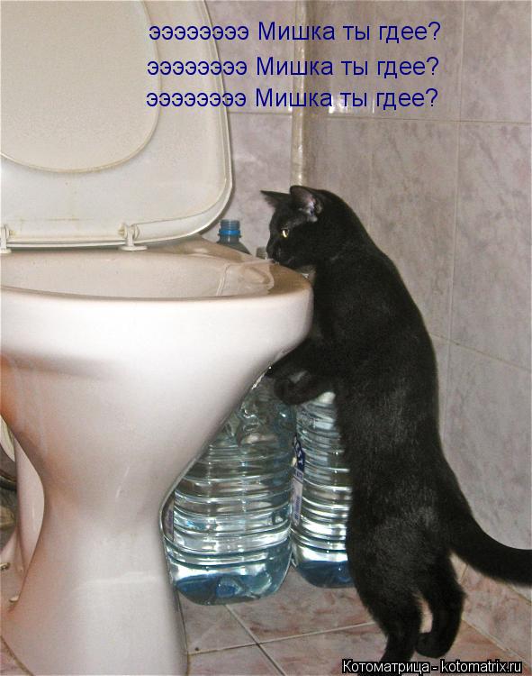 Котоматрица: ээээээээ Мишка ты гдее? ээээээээ Мишка ты гдее? ээээээээ Мишка ты гдее? ээээээээ Мишка ты гдее?