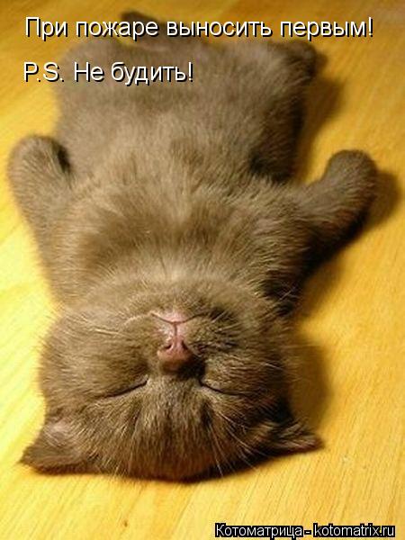 Котоматрица: При пожаре выносить первым! P.S. Не будить!
