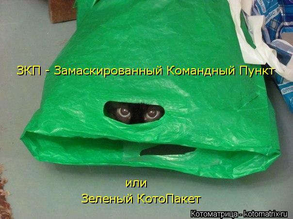 Котоматрица: ЗКП - Замаскированный Командный Пункт Зеленый КотоПакет или