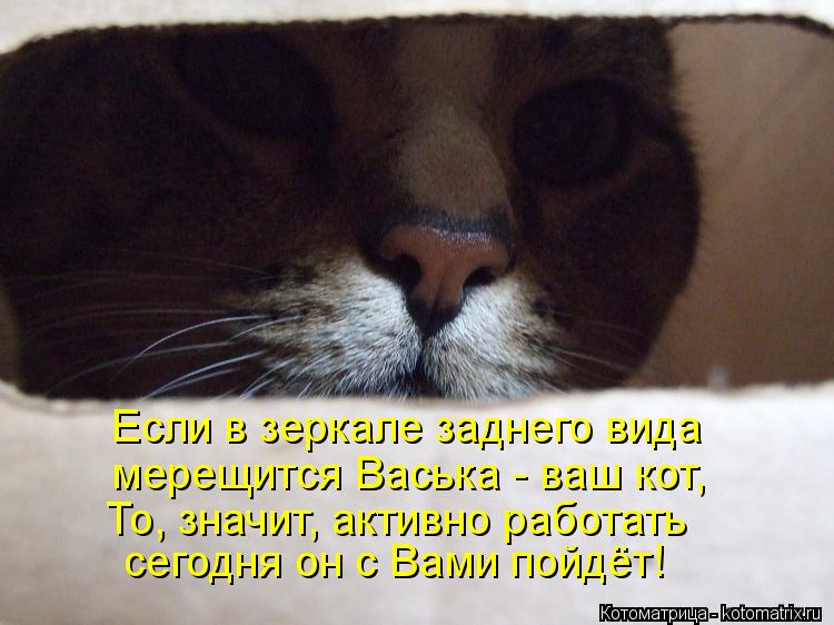 Если в зеркале заднего вида мерещится Васька - ваш кот, То, значит, активно работать сегодня он с Вам... Котоматрица: Если в зеркале заднего вида мерещится Васька - ваш кот, То, значит, активно работать сегодня он с Вами пойдёт!