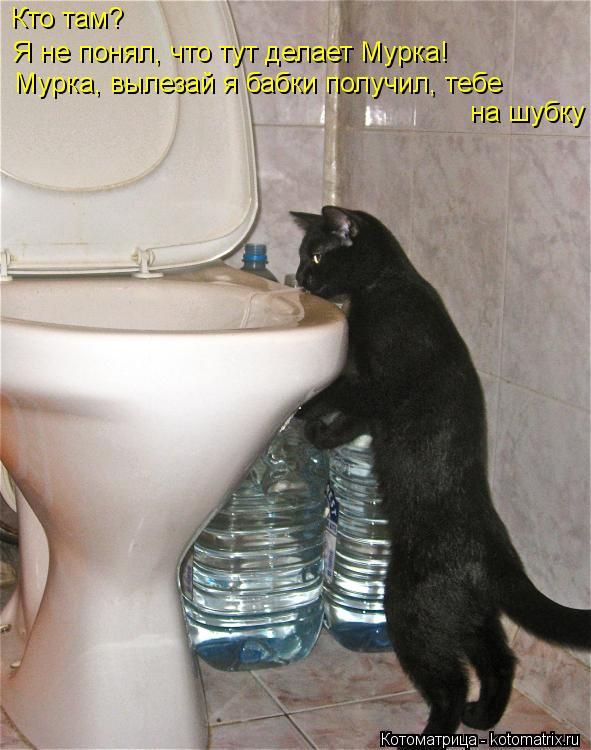 Котоматрица: Кто там? Я не понял, что тут делает Мурка! Мурка, вылезай я бабки получил, тебе на шубку