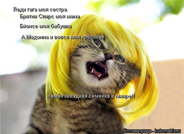 Котоматрица: Леди гага моя сестра Бритни Спирс моя мама Бйонсе моя бабушка А Мадонна и вовсе моя крёстная самая звёздная семейка в миире!!
