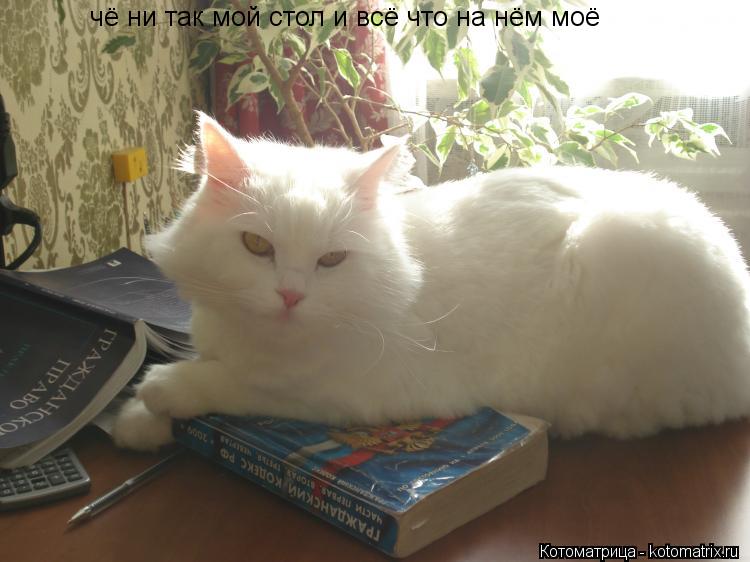 чё ни так мой стол и всё что на нём моё... Котоматрица: чё ни так мой стол и всё что на нём моё