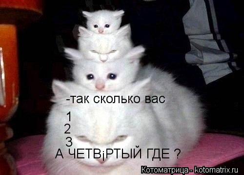 Котоматрица: -так сколько вас  1 2 3 А ЧЕТВЁРТЫЙ ГДЕ ?