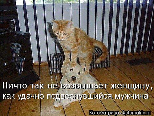 Ничто так не возвышает женщину, как удачно подвернувшийся мужчина... Котоматрица: Ничто так не возвышает женщину, как удачно подвернувшийся мужчина