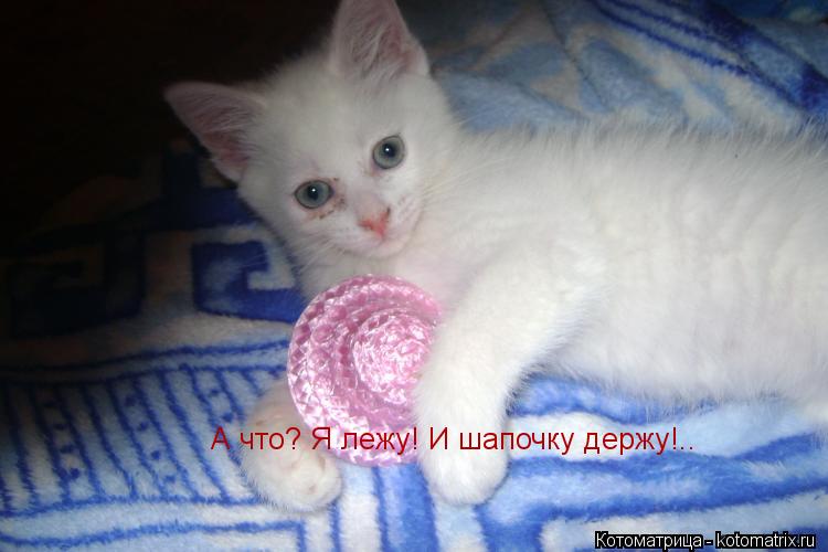 Котоматрица: А что? Я лежу! И шапочку держу!..
