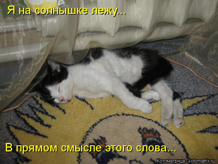 Котоматрица: Я на солнышке лежу... В прямом смысле этого слова...