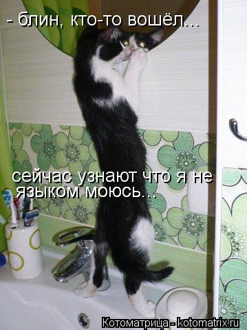 Котоматрица: - блин, кто-то вошёл... сейчас узнают что я не  языком моюсь... языком моюсь...
