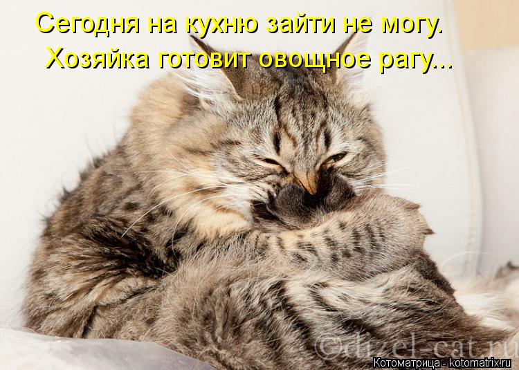 Котоматрица: Сегодня на кухню зайти не могу. Хозяйка готовит овощное рагу...