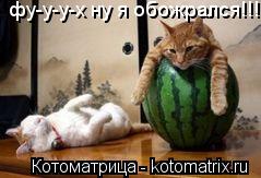 Котоматрица: фу-у-у-х ну я обожрался!!!