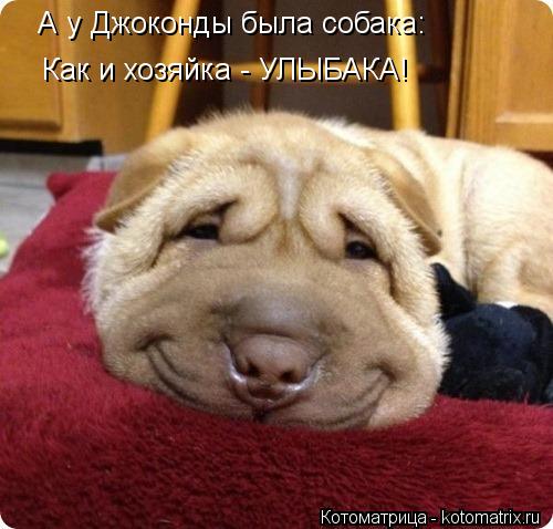 Котоматрица: А у Джоконды была собака: Как и хозяйка - УЛЫБАКА!