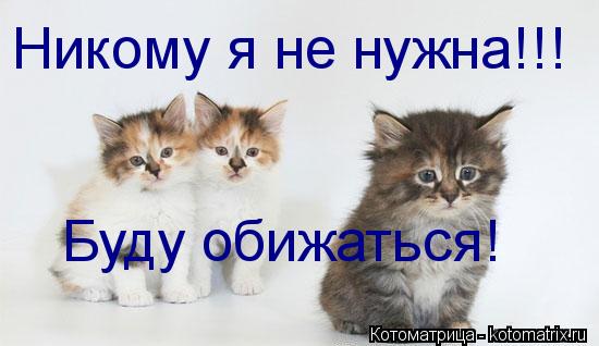 Котоматрица: Никому я не нужна!!! Буду обижаться!