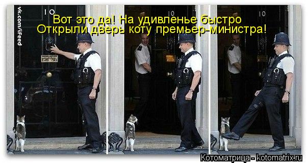 Котоматрица: Открыли дверь коту премьер-министра! Вот это да! На удивленье быстро