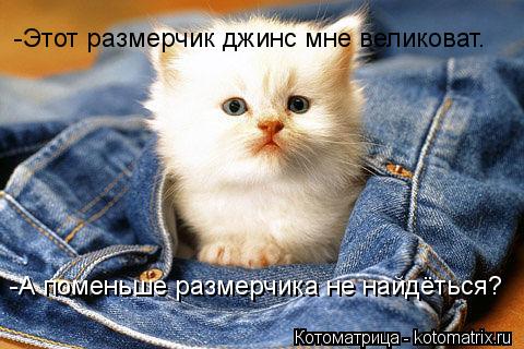Котоматрица: -Этот размерчик джинс мне великоват. -А поменьше размерчика не найдёться?