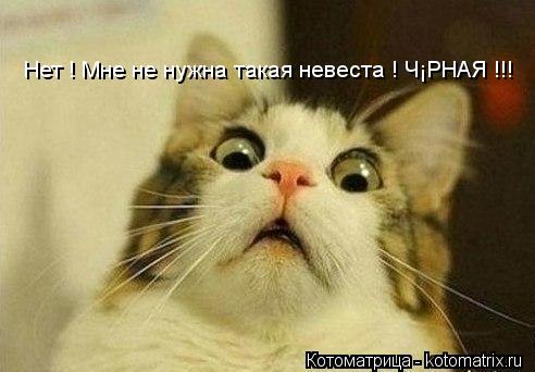 Котоматрица: Нет ! Мне не нужна такая невеста ! ЧЁРНАЯ !!!