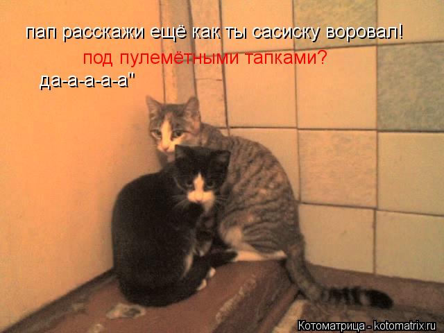 Котоматрица: пап расскажи ещё как ты сасиску воровал! под пулемётными тапками? да-а-а-а-а"