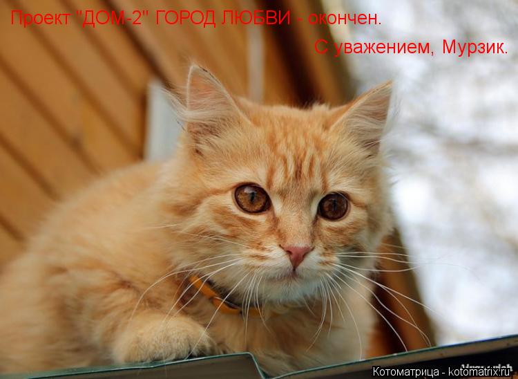 Котоматрица: Проект "ДОМ-2" ГОРОД ЛЮБВИ - окончен. С уважением, Мурзик.