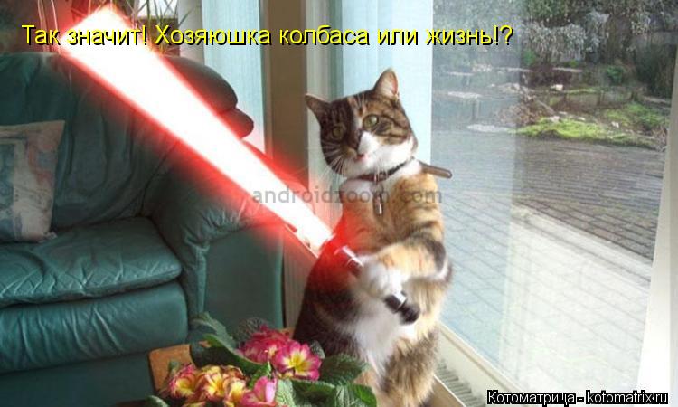 Котоматрица: Так значит! Хозяюшка колбаса или жизнь!?