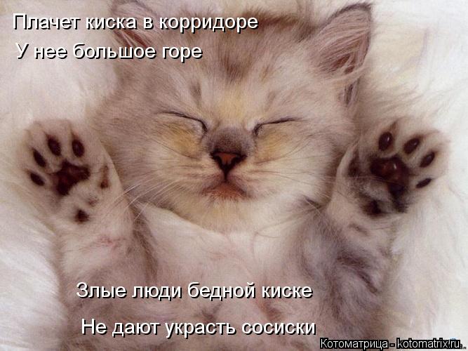 Котоматрица: Плачет киска в корридоре У нее большое горе Злые люди бедной киске Не дают украсть сосиски