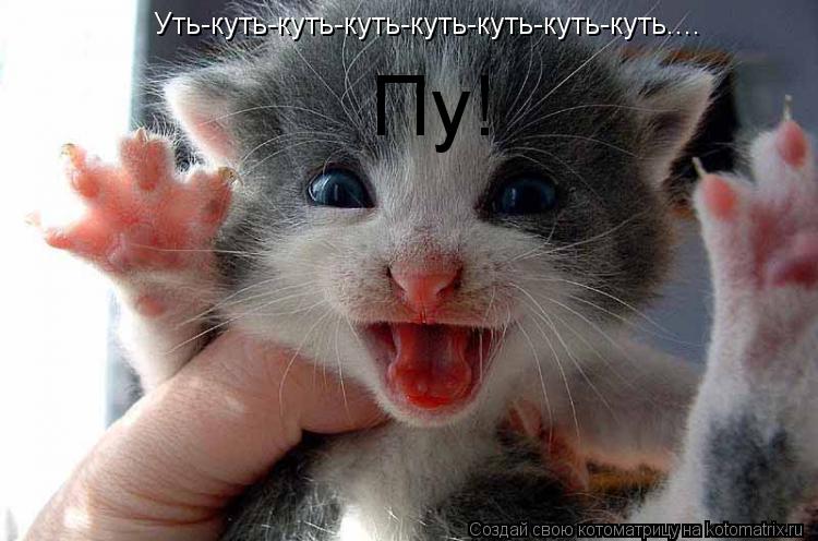 Котоматрица: Уть-куть-куть-куть-куть-куть-куть-куть.... Пу!