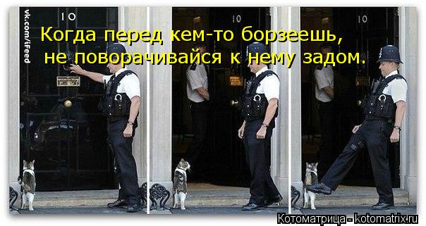 Котоматрица: Когда перед кем-то борзеешь, не поворачивайся к нему задом.