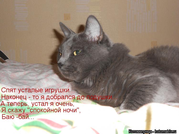 Котоматрица: Спят усталые игрушки... Наконец - то я добрался до подушки... А теперь, устал я очень, Я скажу "спокойной ночи",  Баю -бай...