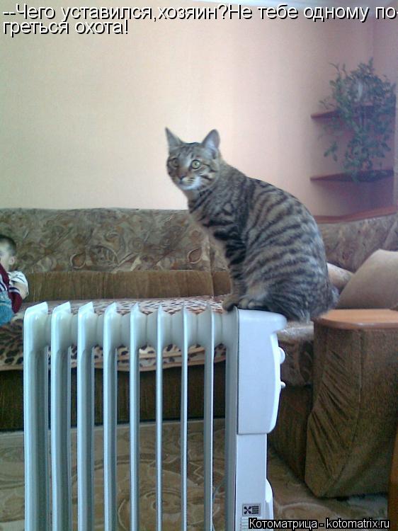 Котоматрица: --Чего уставился,хозяин?Не тебе одному по- греться охота!