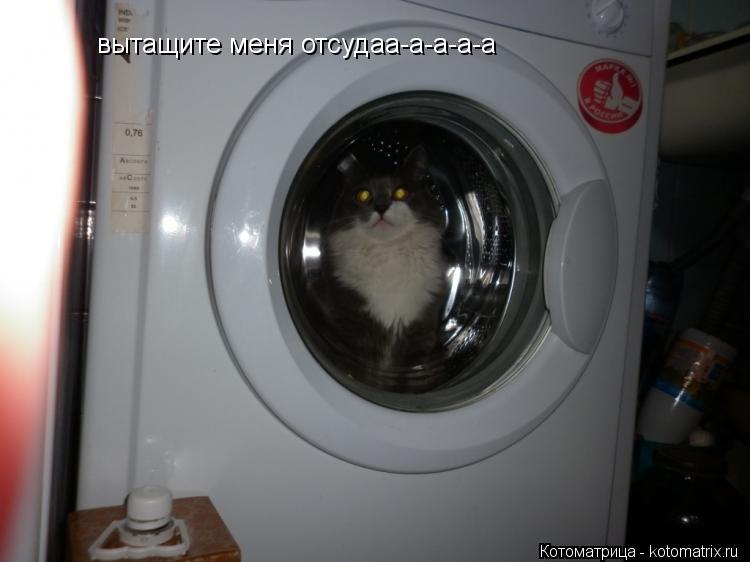Котоматрица: вытащите меня отсудаа-а-а-а-а