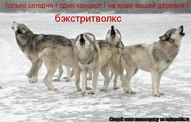 Котоматрица: только сегодня ! один концерт ! на краю вашей деревни ! бэкстритволкс