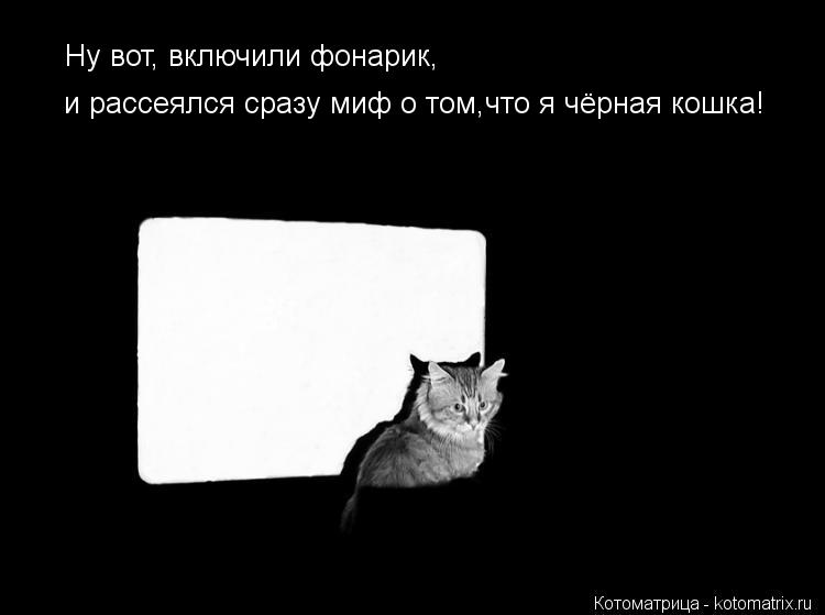 Котоматрица: Ну вот, включили фонарик, и рассеялся сразу миф о том,что я чёрная кошка!